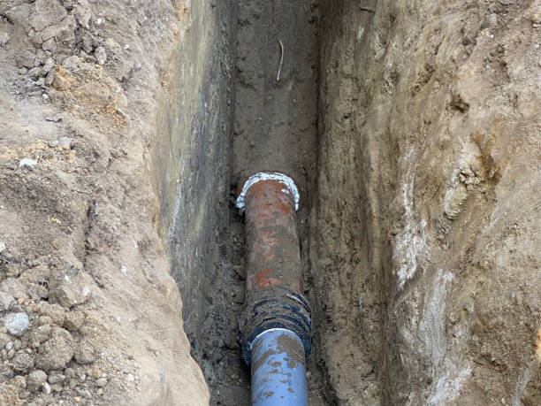 Best 24/7 water damage repair  in New Milford, NJ
