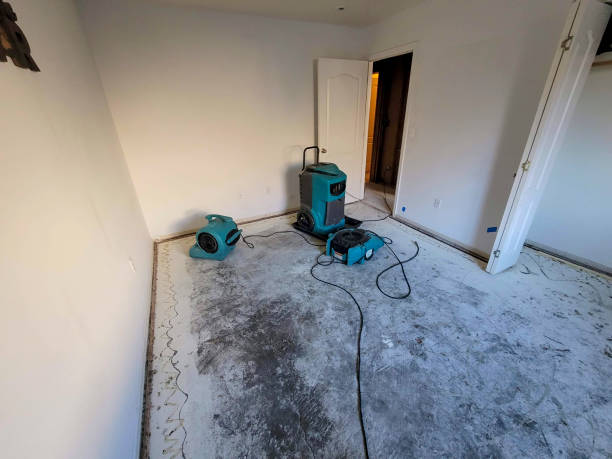 Best Water damage restoration near me  in New Milford, NJ