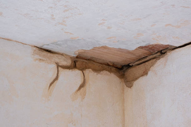 Best Flood restoration services  in New Milford, NJ