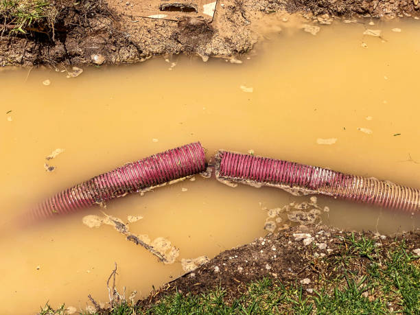 Best Professional water damage repair  in New Milford, NJ